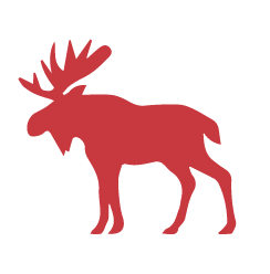 Notre expérience au Québec nous a inspirée