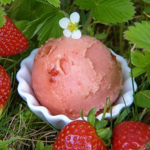 Sorbet Fraise
