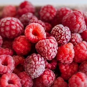 Sorbet Framboise