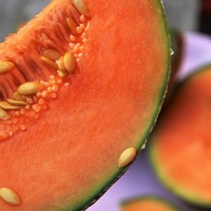 Sorbet Melon