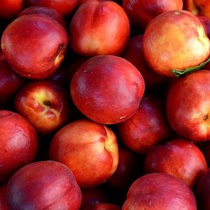 Sorbet Nectarine