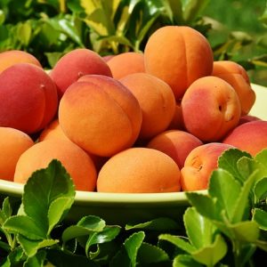 Compote d&rsquo;Abricots