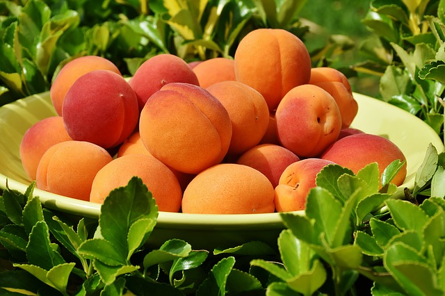 compote d'abricots bergeron